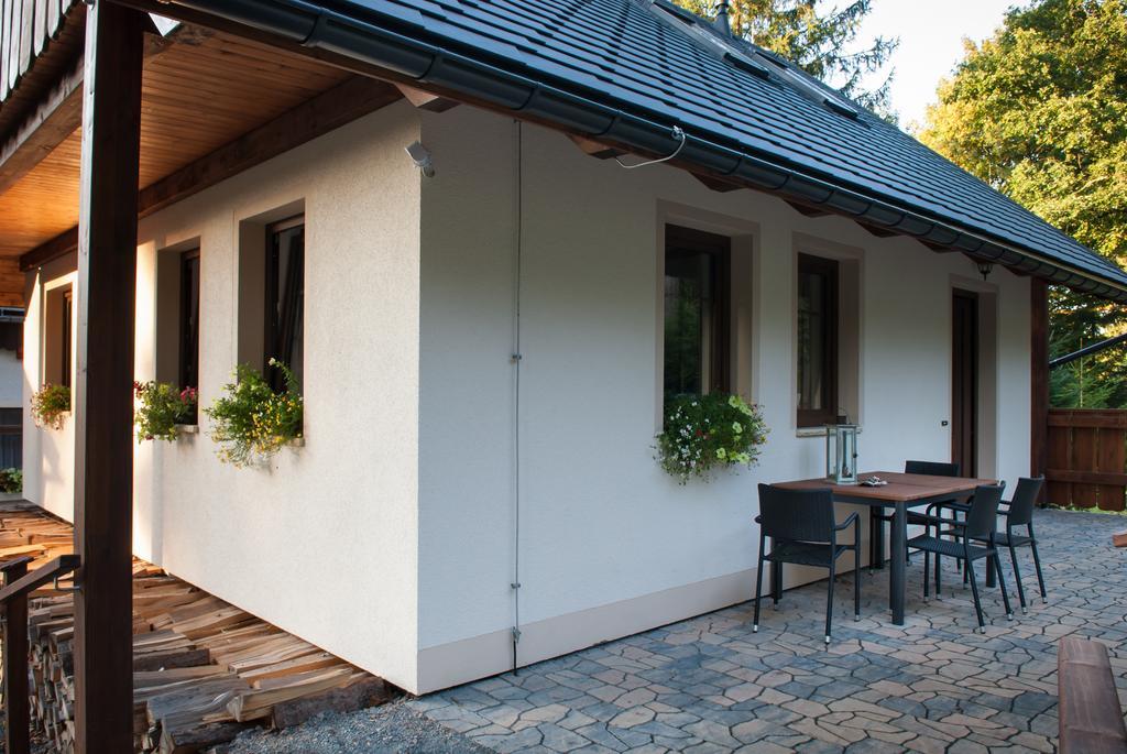 Haus Waldfrieden Apartment Алтенберг Източен Ерцгебирге Екстериор снимка