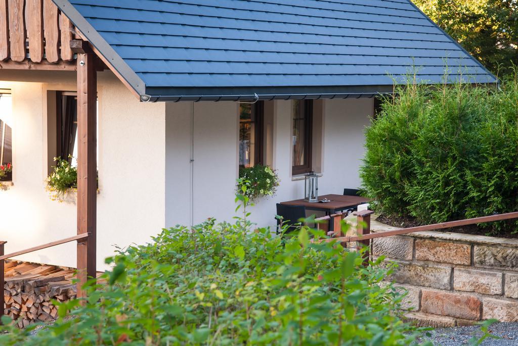 Haus Waldfrieden Apartment Алтенберг Източен Ерцгебирге Екстериор снимка