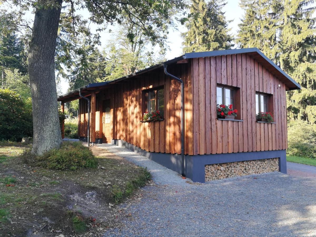 Haus Waldfrieden Apartment Алтенберг Източен Ерцгебирге Екстериор снимка